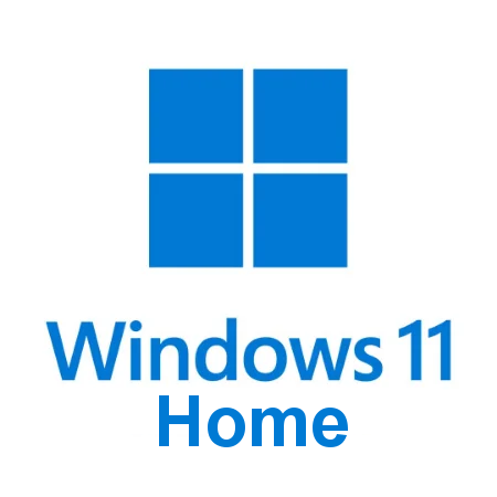 Windows 11 Home in dual boot