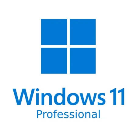 Windows 11 Professional in dual boot